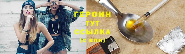 индика Богородицк