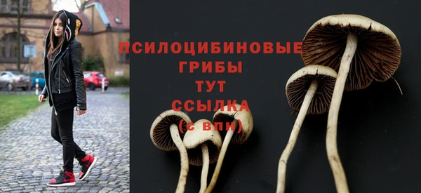 индика Богородицк