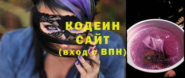 индика Богородицк