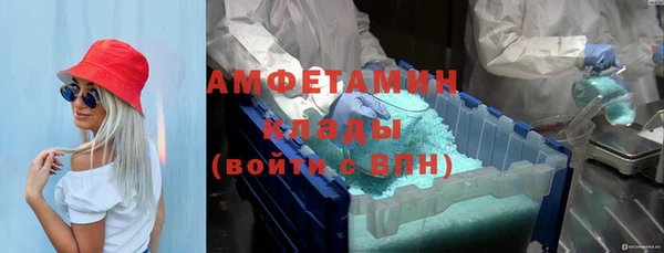 индика Богородицк