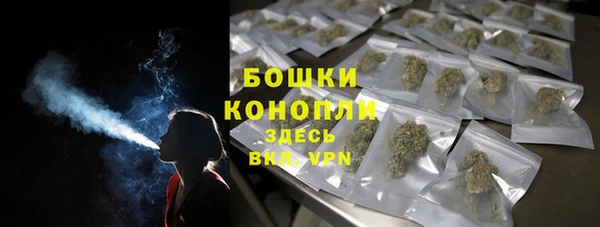 индика Богородицк