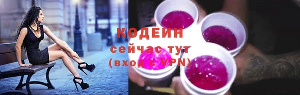 индика Богородицк