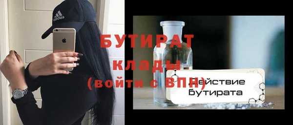 индика Богородицк