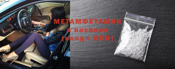 индика Богородицк