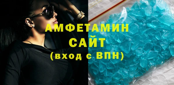 индика Богородицк