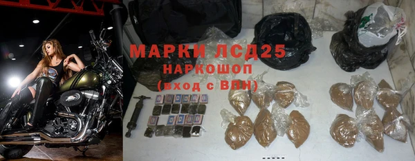 индика Богородицк